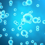 再生医療はいつ実用化される？治療分野と導入の壁、前進させる方法とは