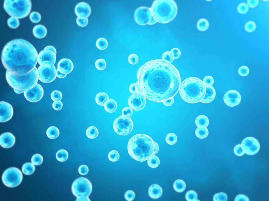 再生医療はいつ実用化される？治療分野と導入の壁、前進させる方法とは