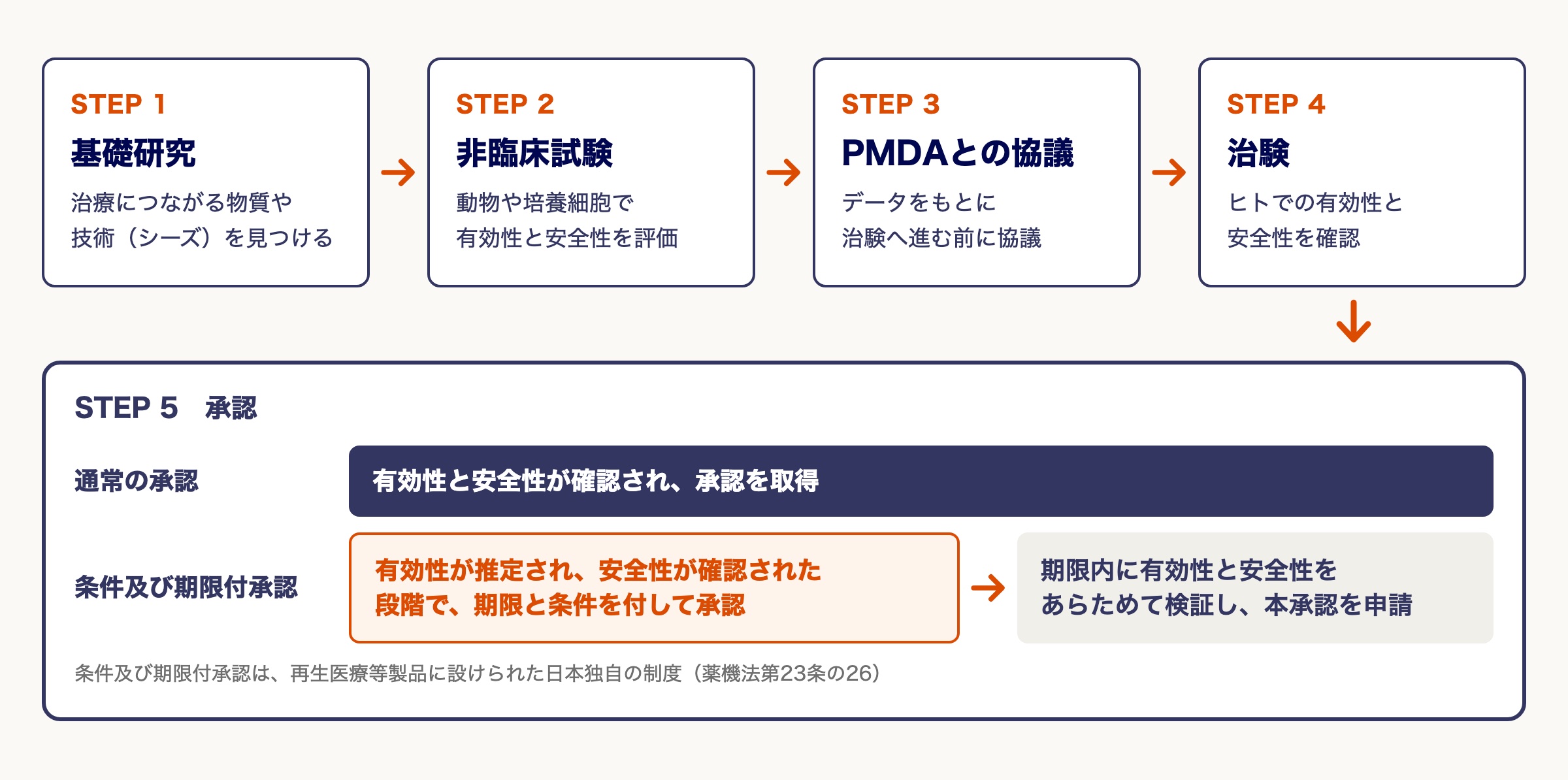 ASCを用いた再生医療等製品開発の流れ