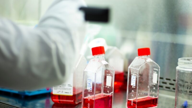 GCTPとGMPの違いとは？再生医療等製品の品質管理を解説